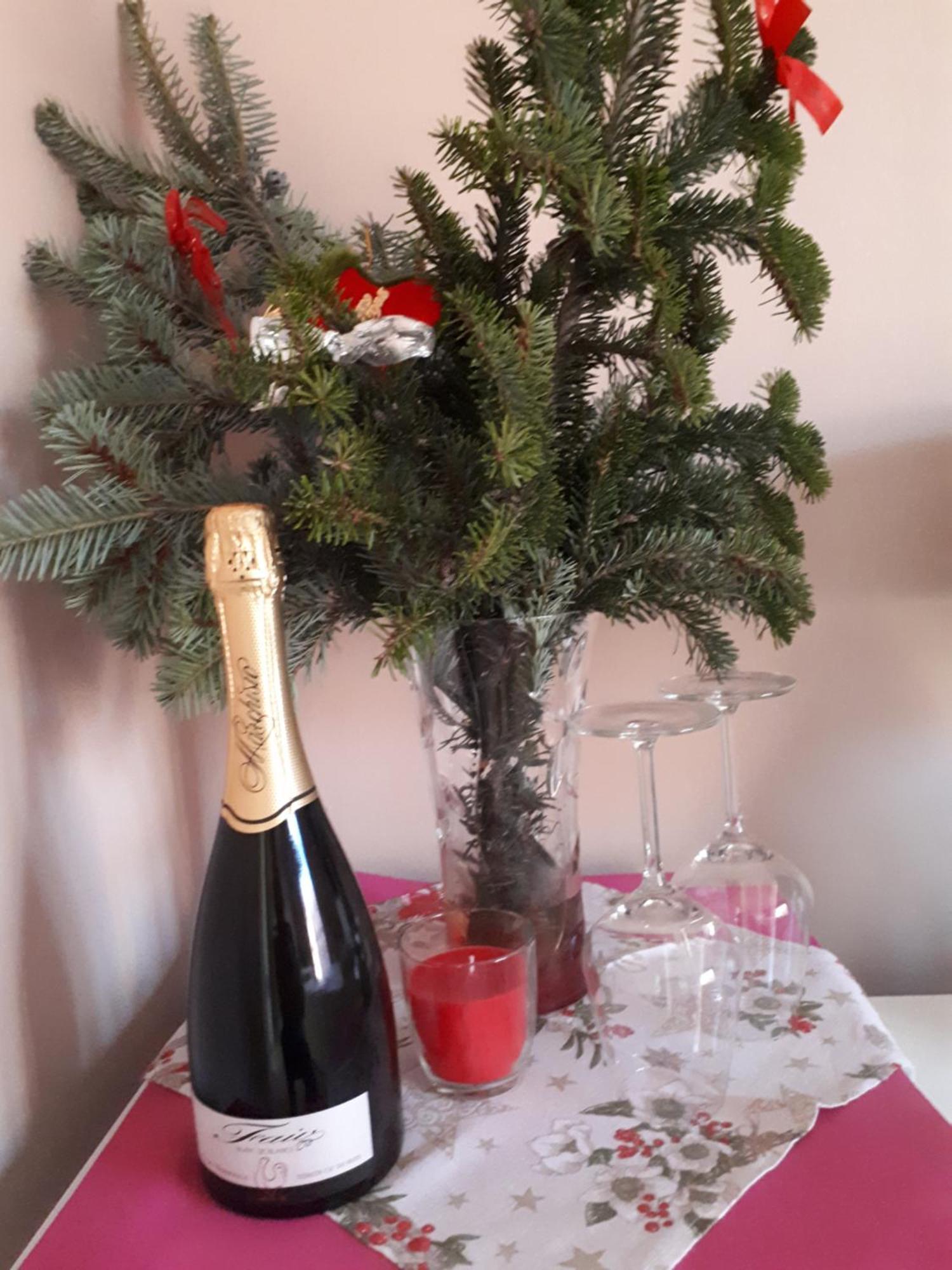 ホテル Casa Delle Orchidee アルバ 部屋 写真