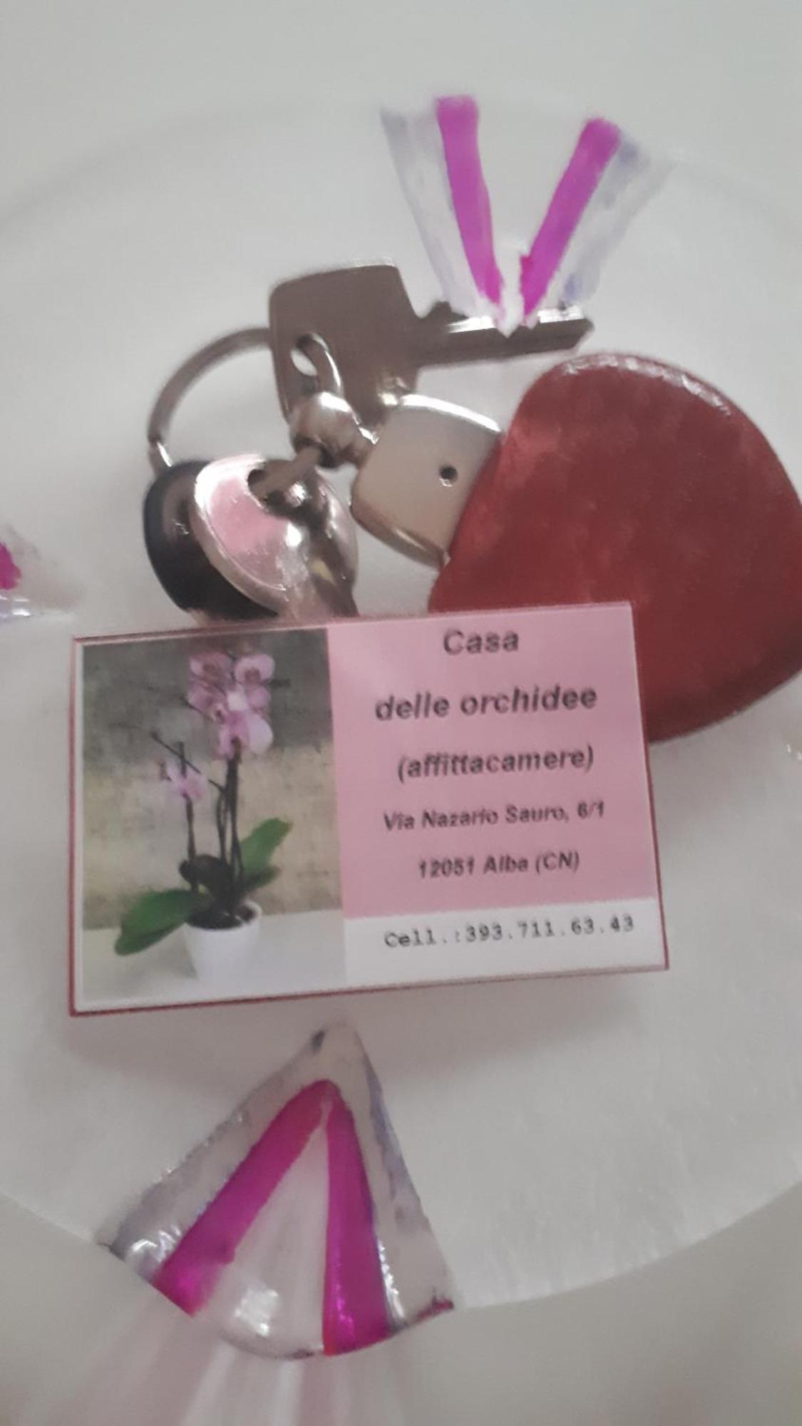 ホテル Casa Delle Orchidee アルバ 部屋 写真